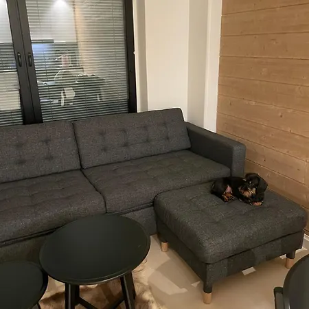 Cranberry C1, Ski-in Ski-out 2 Bedroom In Center Apartamento Levi