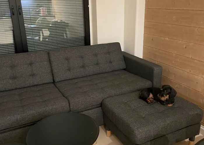 Cranberry C1, Ski-in Ski-out 2 Bedroom In Center Διαμέρισμα Levi